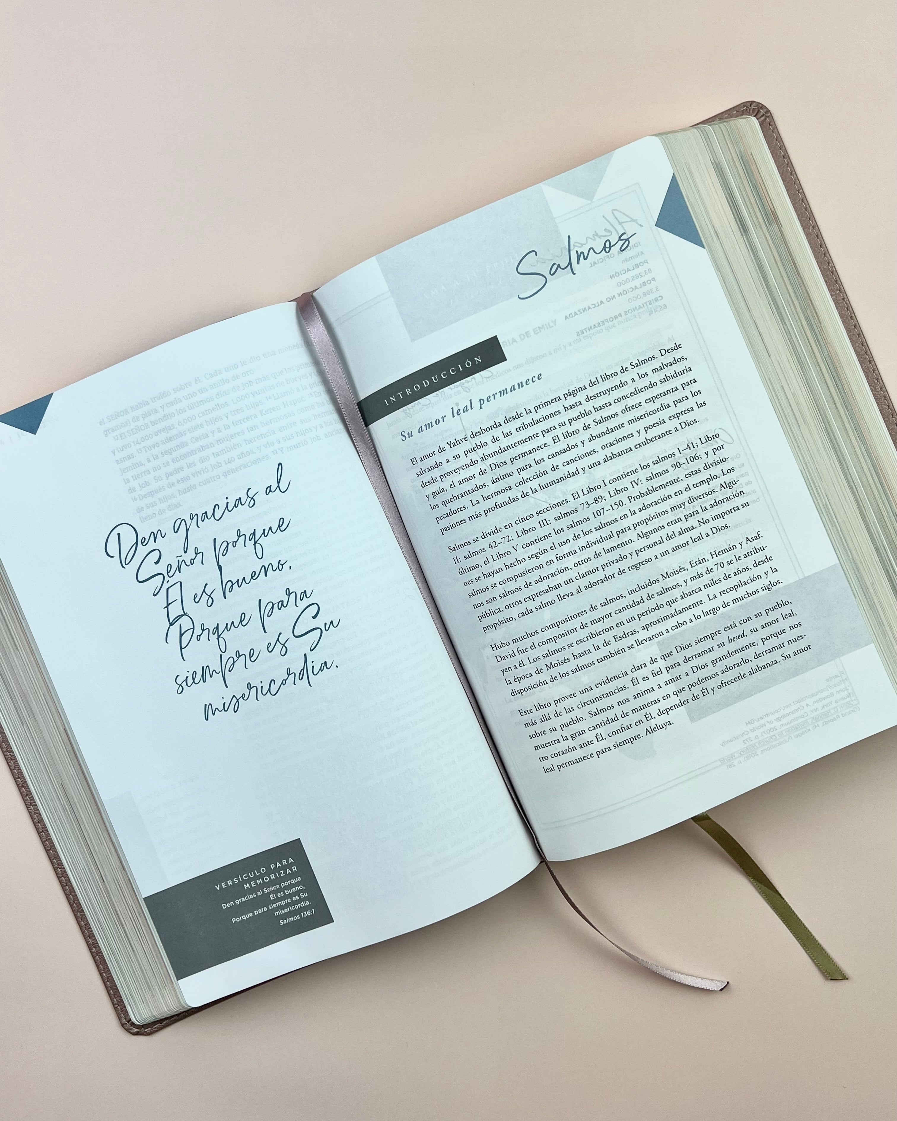 [Backordered] Biblia Ama a Dios Grandemente (NBLA), Leathersoft™ Oro Rosa