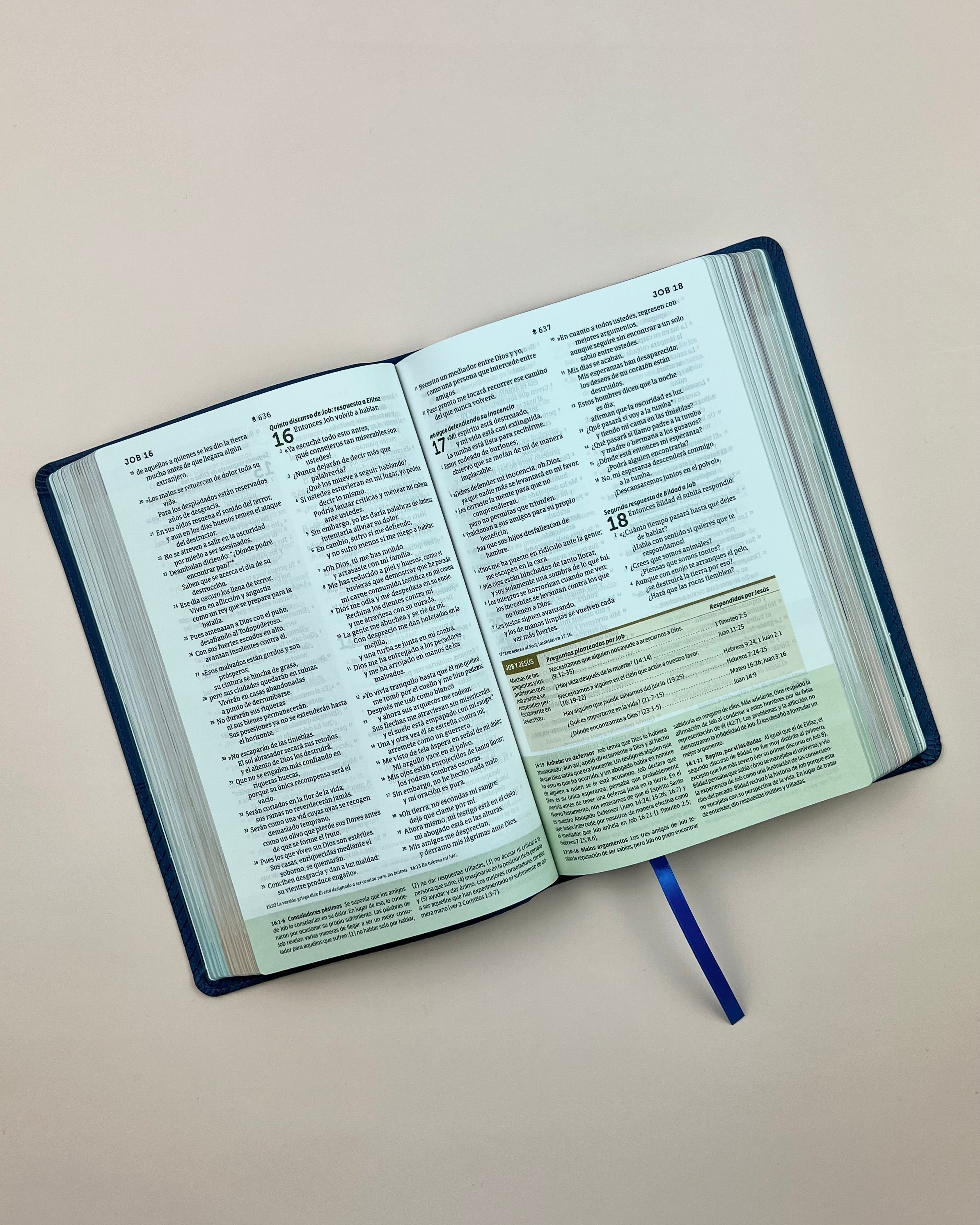 Biblia de Estudio del Diario Vivir para Jóvenes (NTV), SentiPiel™ Azul Marino