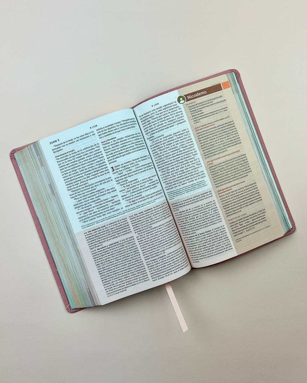 Biblia de Estudio del Diario Vivir para Jóvenes (NTV), SentiPiel™ Rosa Pastel