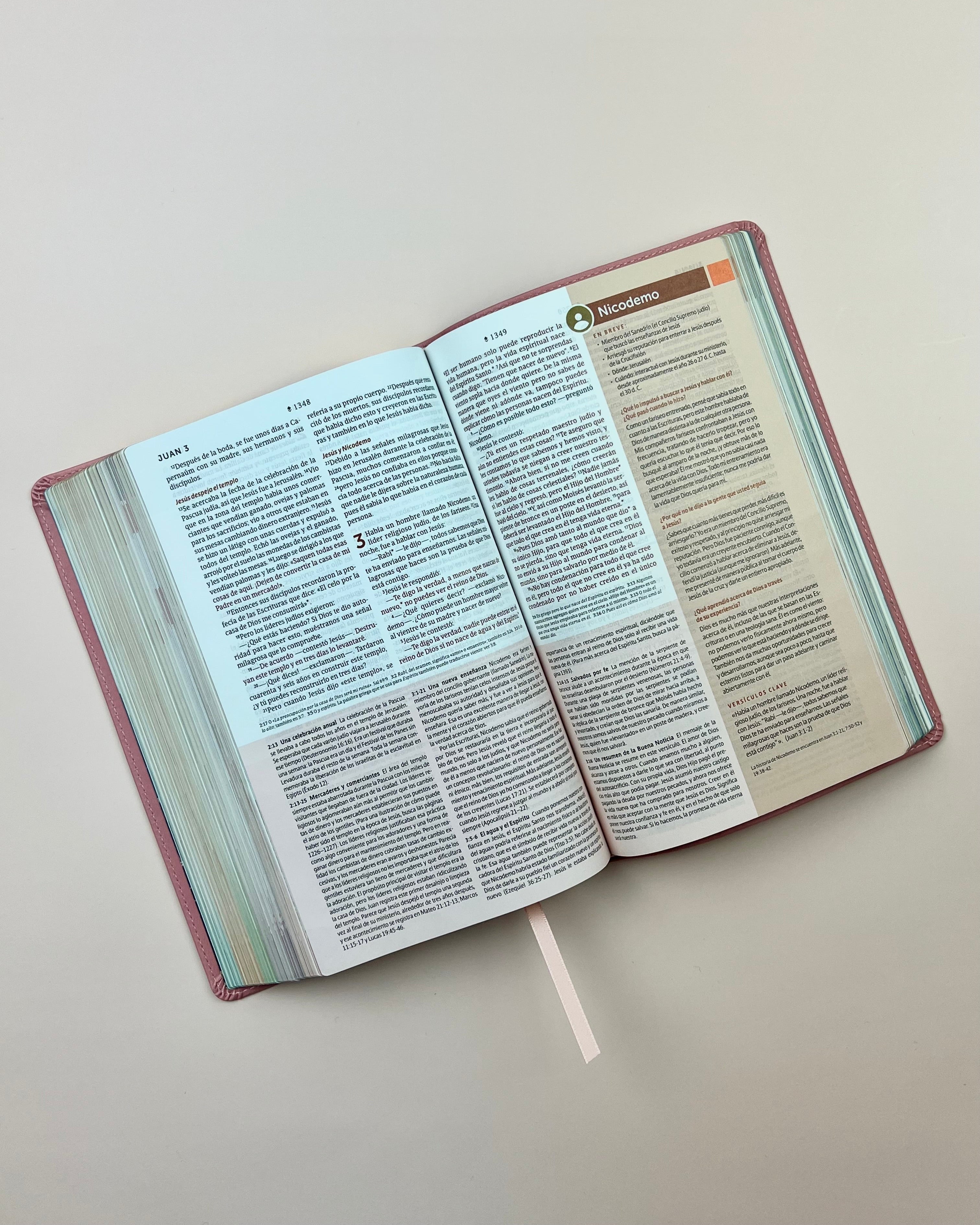 Biblia de Estudio del Diario Vivir para Jóvenes (NTV), SentiPiel™ Rosa Pastel
