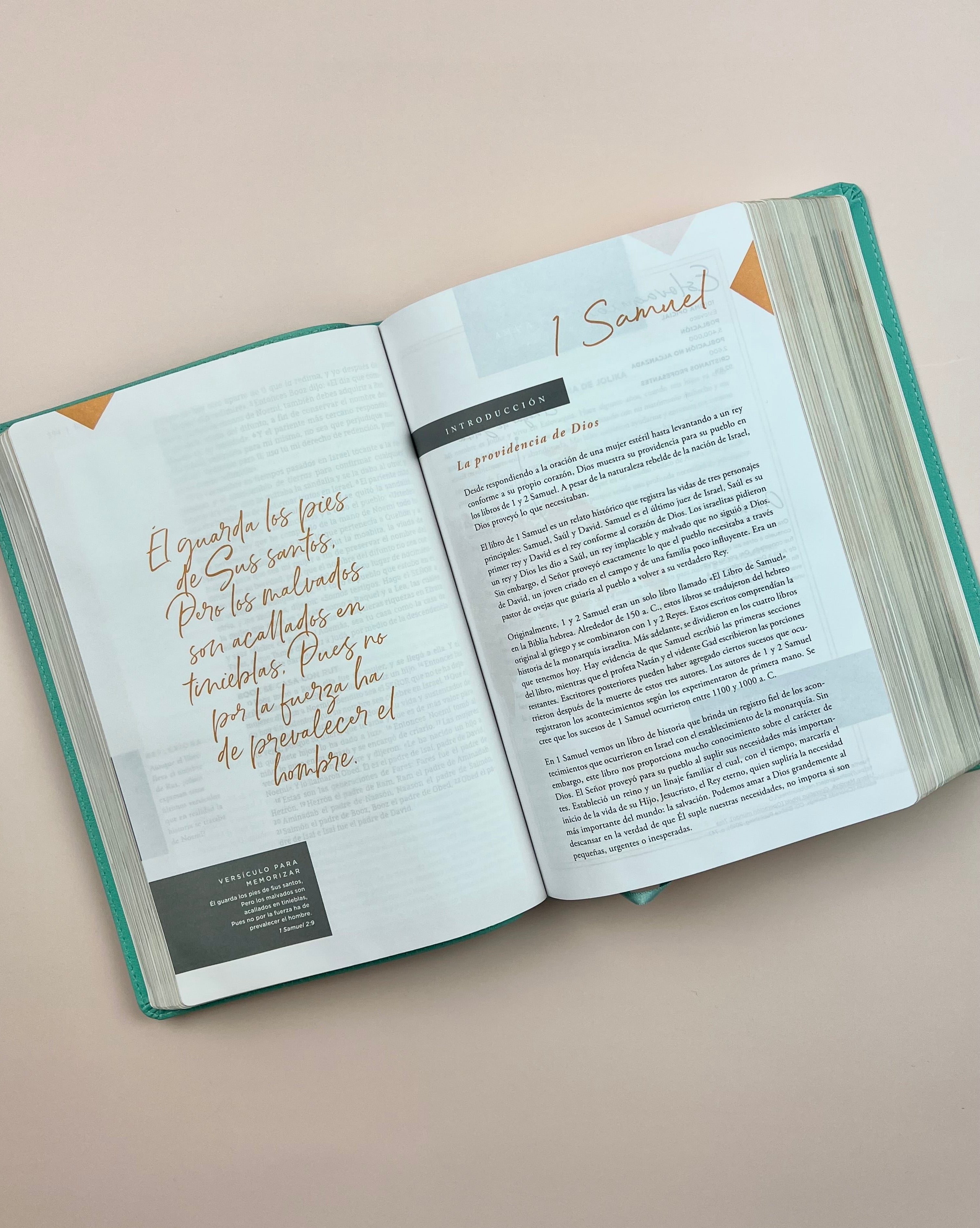 Biblia Ama a Dios Grandemente (NBLA), Leathersoft™ Turquesa