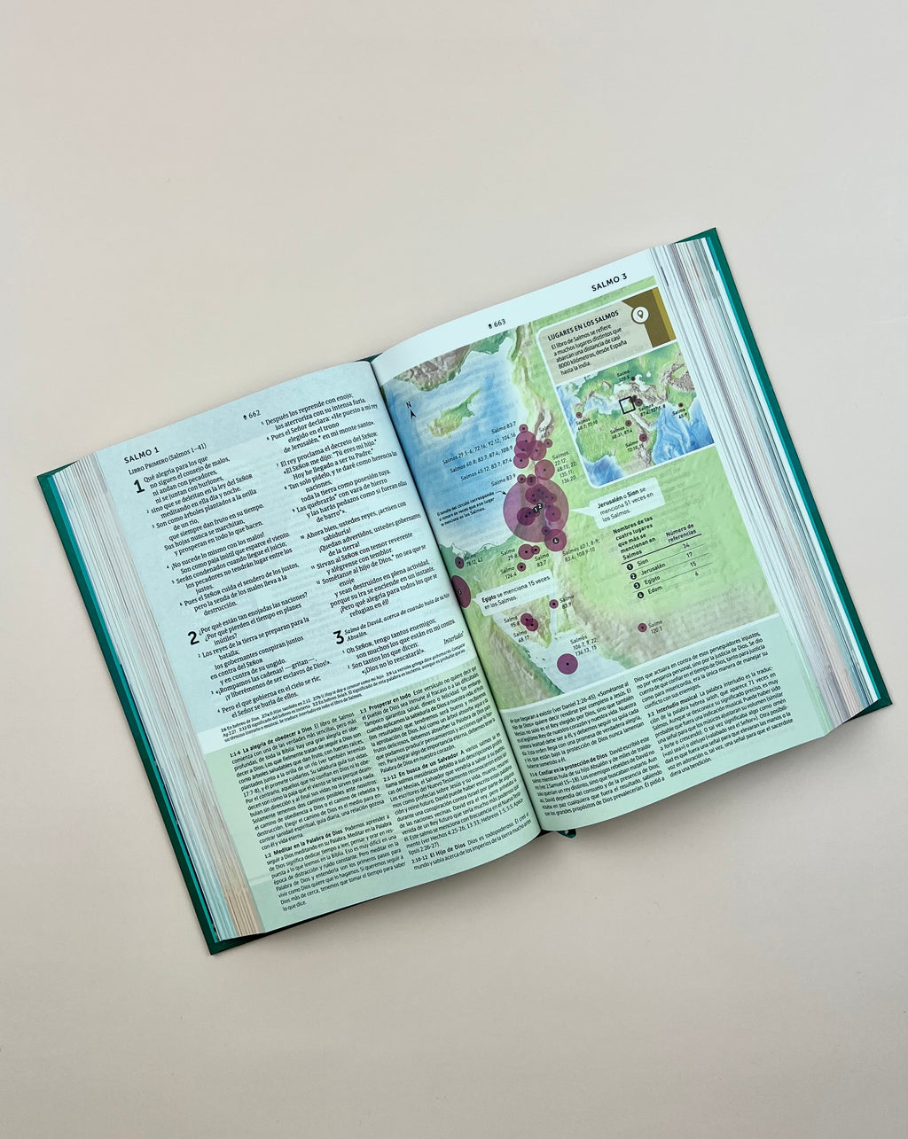 Biblia de Estudio del Diario Vivir para Jóvenes (NTV), Tapa Dura