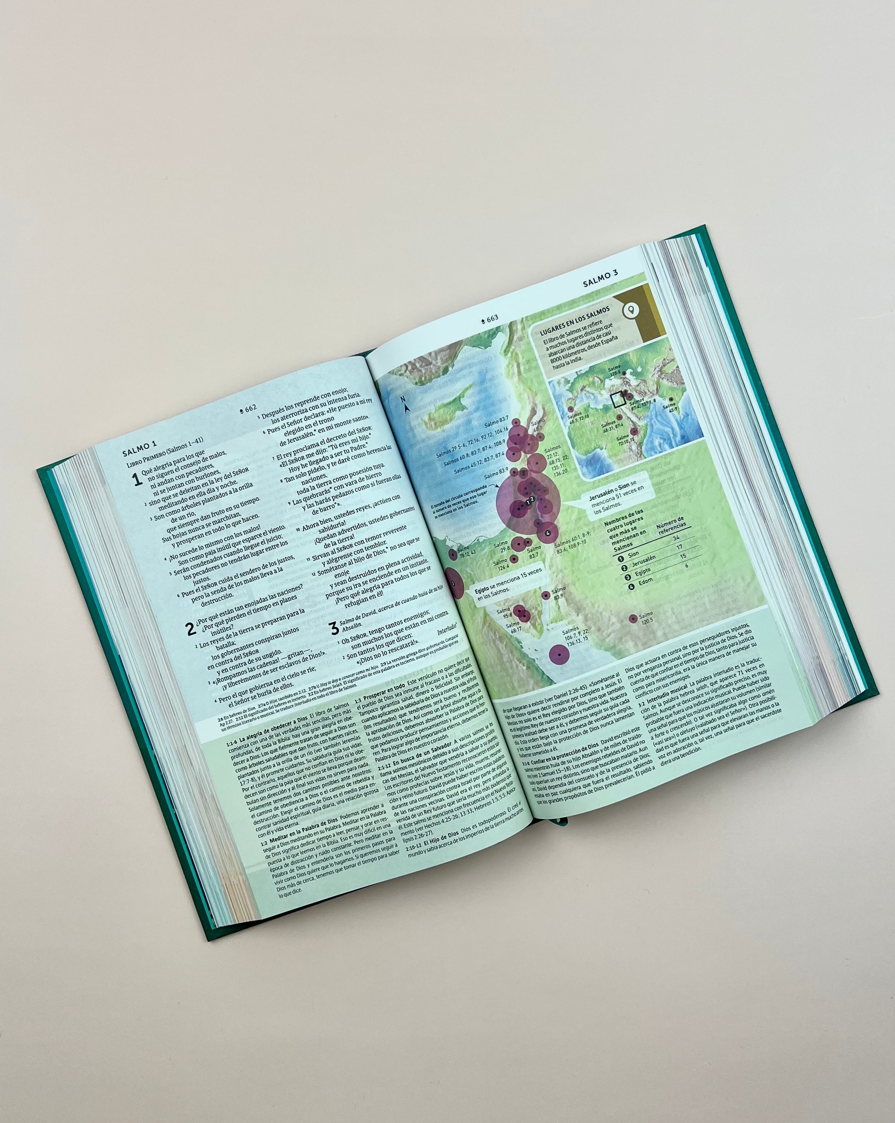 Biblia de Estudio del Diario Vivir para Jóvenes (NTV), Tapa Dura