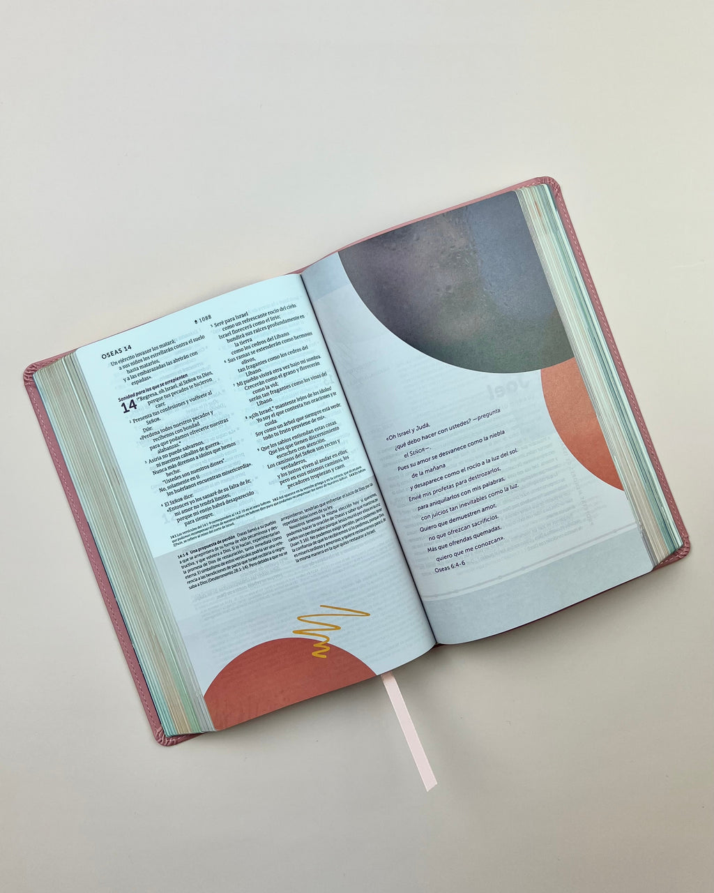 Biblia de Estudio del Diario Vivir para Jóvenes (NTV), SentiPiel™ Rosa Pastel