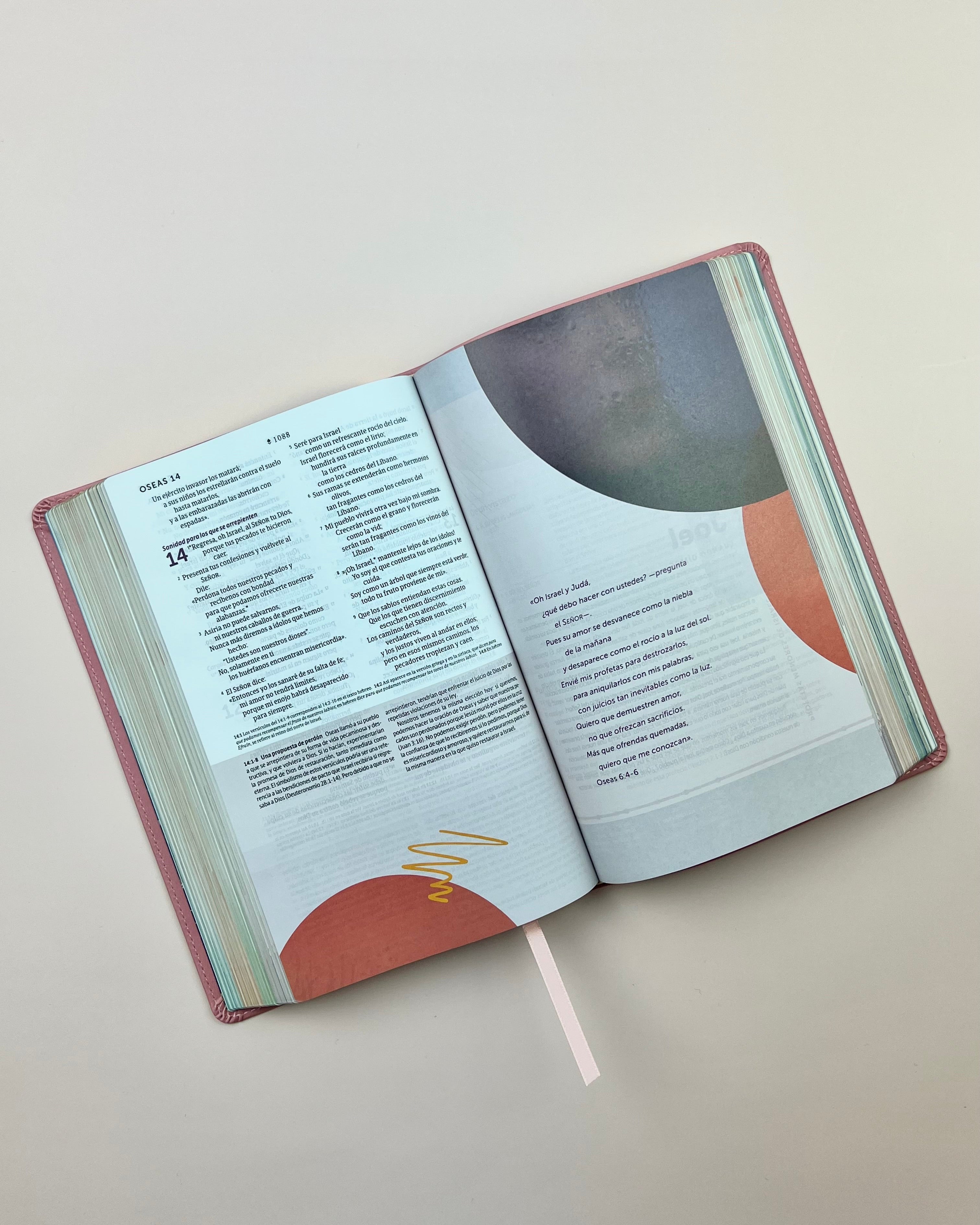 Biblia de Estudio del Diario Vivir para Jóvenes (NTV), SentiPiel™ Rosa Pastel