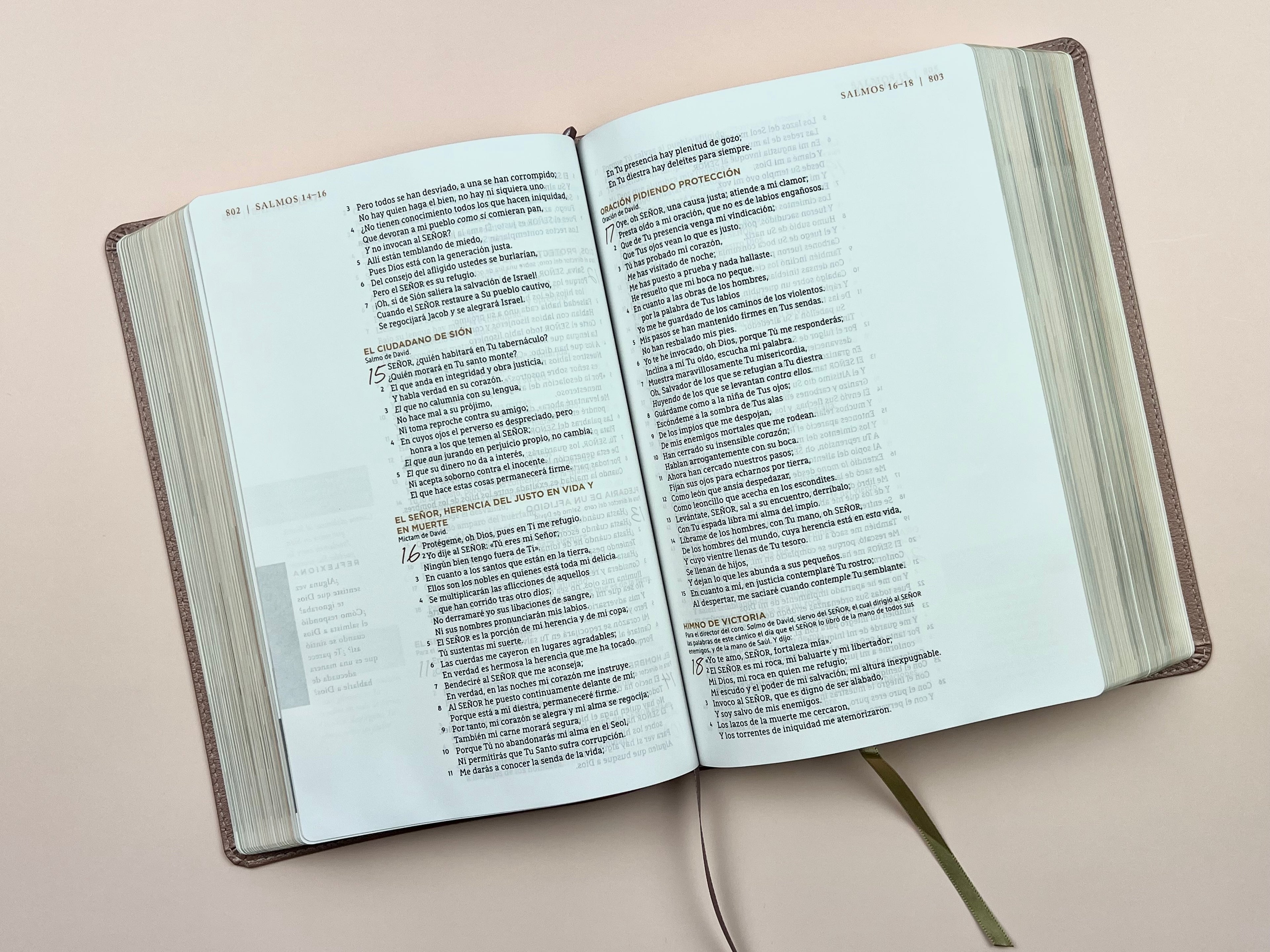 Biblia Ama a Dios Grandemente (NBLA), Leathersoft™ Oro Rosa
