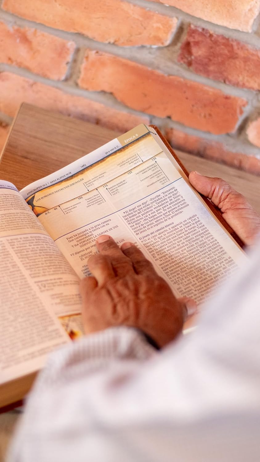 Biblia (NBLA) Cronológica de Estudio, Leathersoft dos tonos café