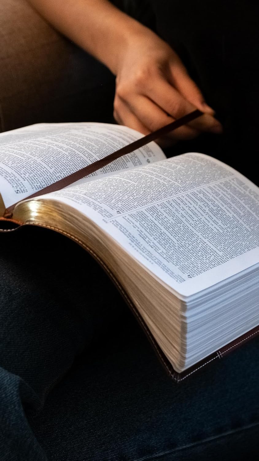 Biblia Bilingüe (NKJV/RVR), Leathersoft™ Café
