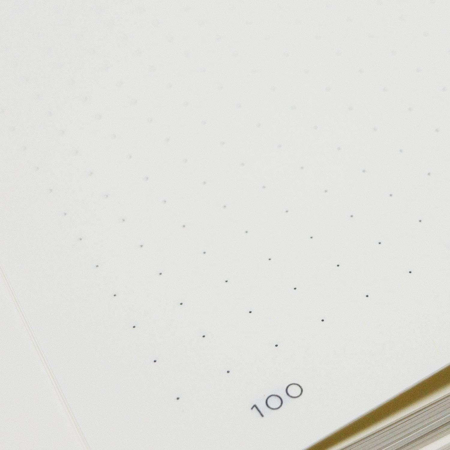 LEUCHTTURM1917 Medium A5-123 (Dotted)