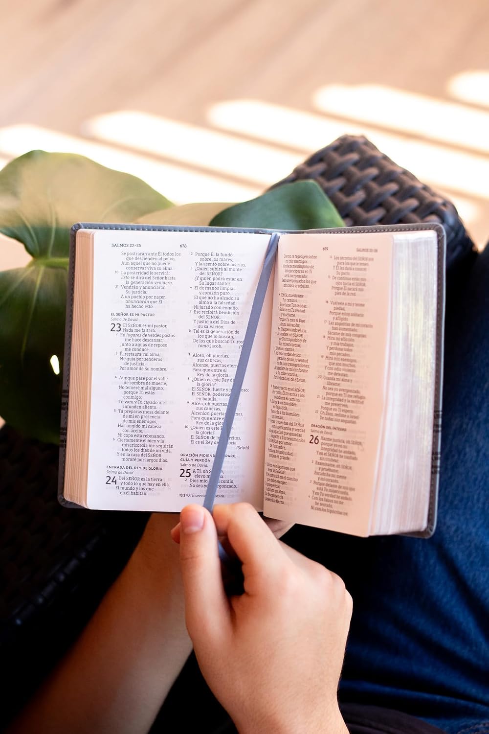 Biblia (NBLA) Edición versificada, Tamaño bolsillo, Leathersoft, Gris