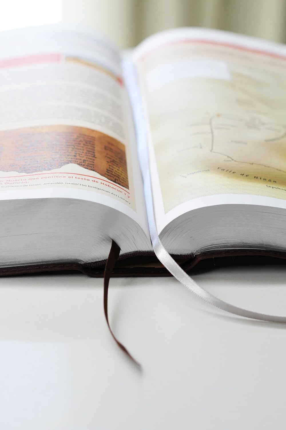 Biblia de Estudio (NVI) Actualizada, Leathersoft™ Café, Letra Grande