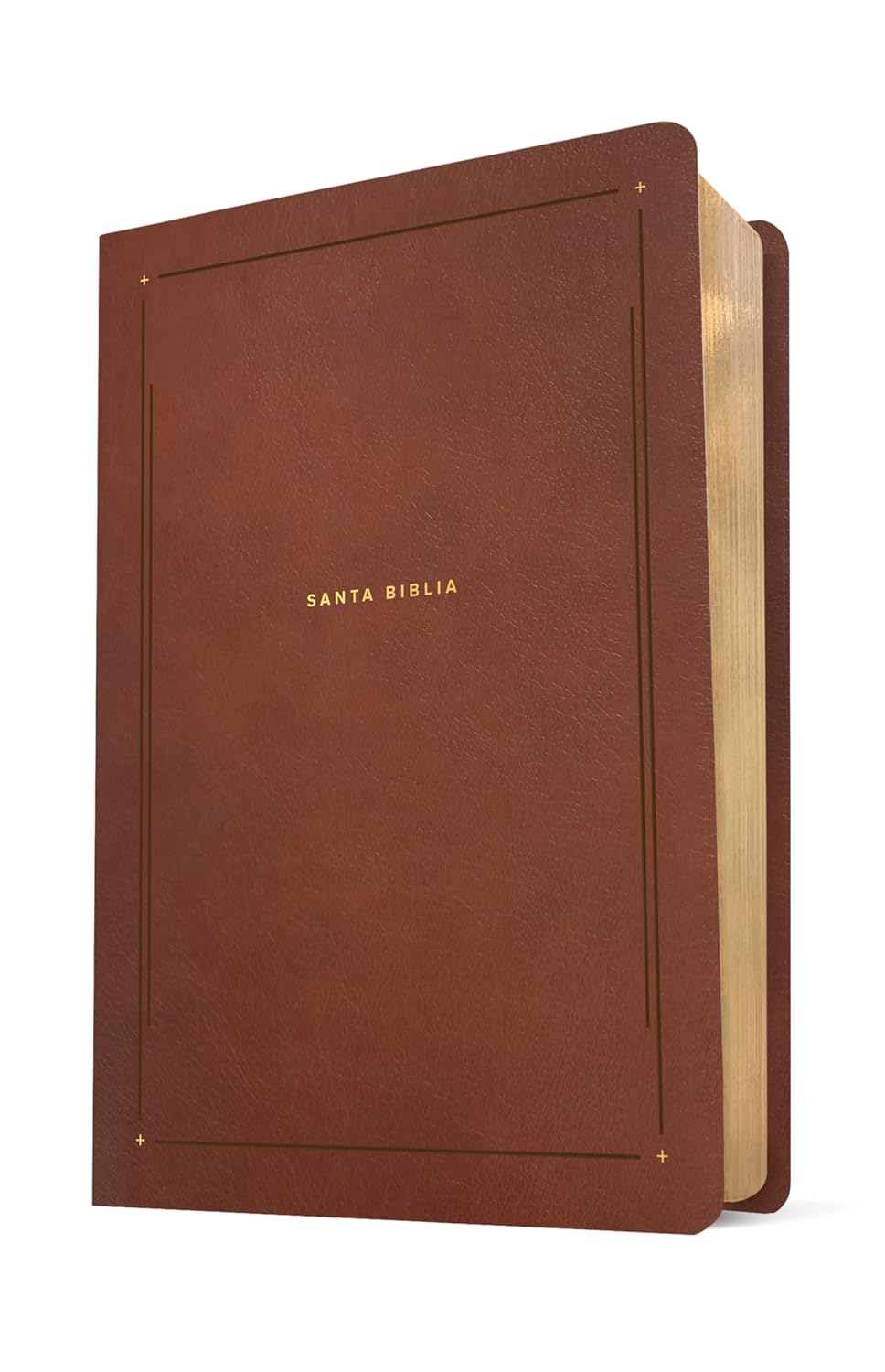 Biblia de Estudio del Diario Vivir (NTV), Sentipiel Café