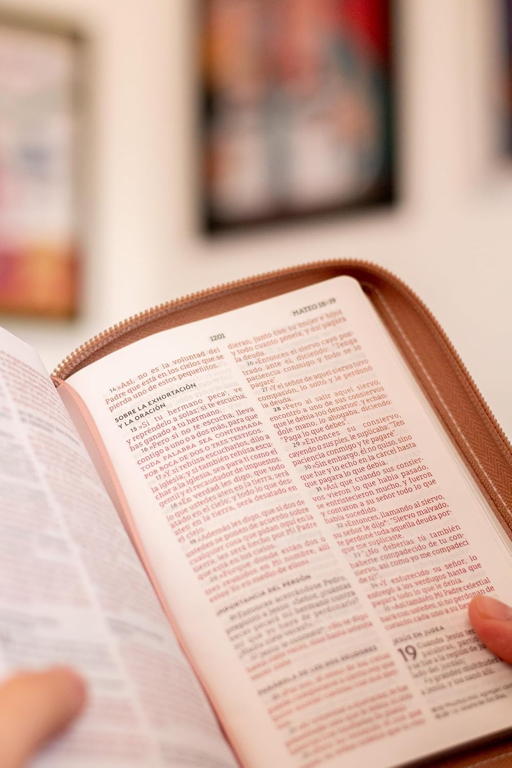 Biblia (NBLA) Edición versificada, Tamaño bolsillo, Leathersoft, Oro Rosa