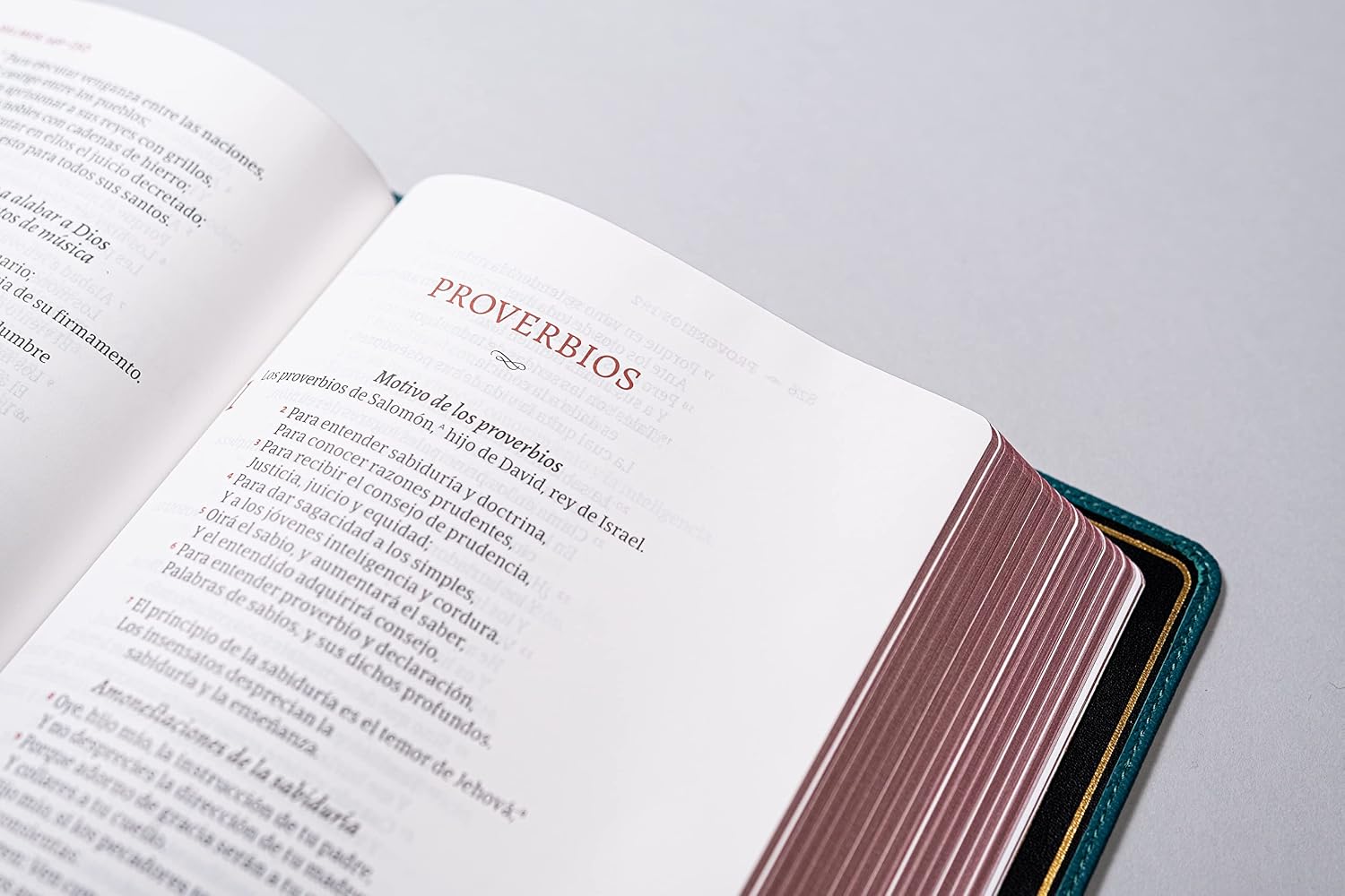 Biblia Deluxe (RV60), Verde Turquesa Piel Genuina