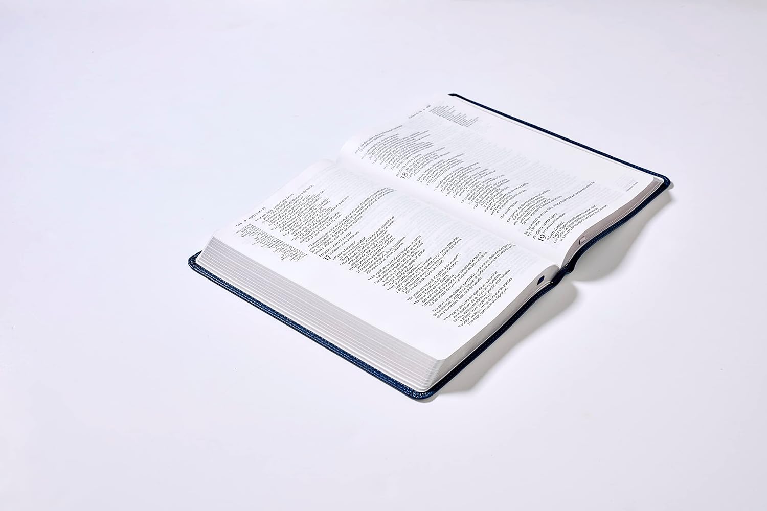 Santa Biblia (NVI) Una Columna con Referencias