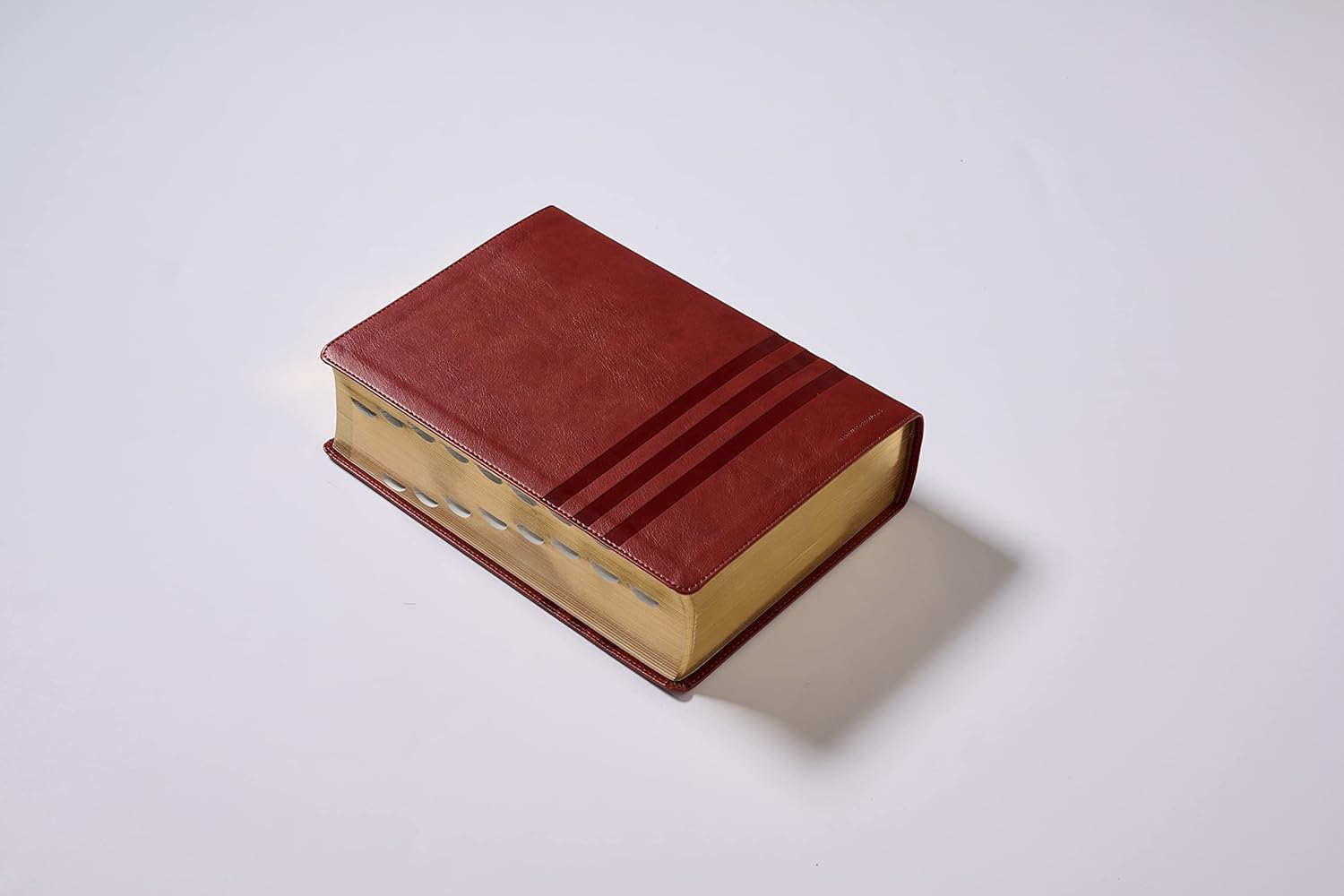 Biblia de Estudio de Teología Bíblica (NVI), LeatherSoft™ Café