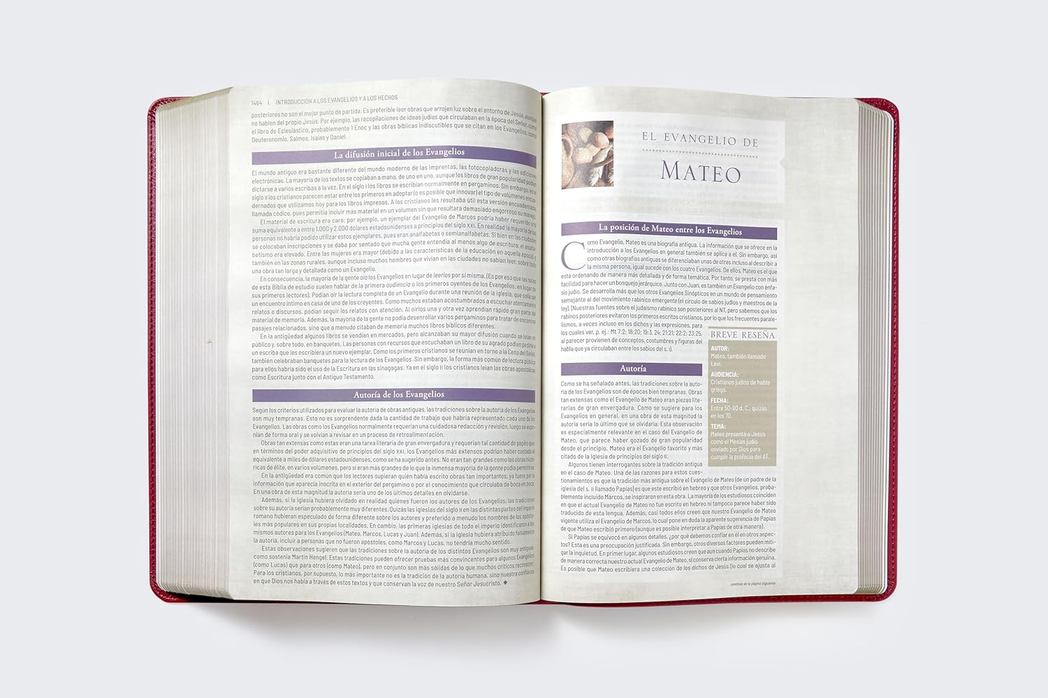 Biblia (RVR) de estudio trasfondo cultural, LeatherSoft™ Rojo Vino: Explora el mundo antiguo de la Escritura