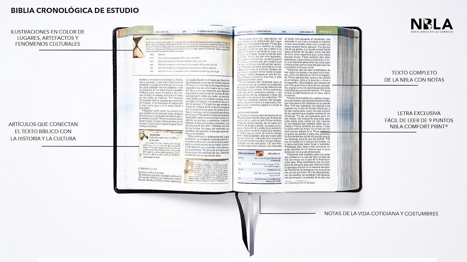 Biblia (NBLA) Cronológica de Estudio, Leathersoft dos tonos café