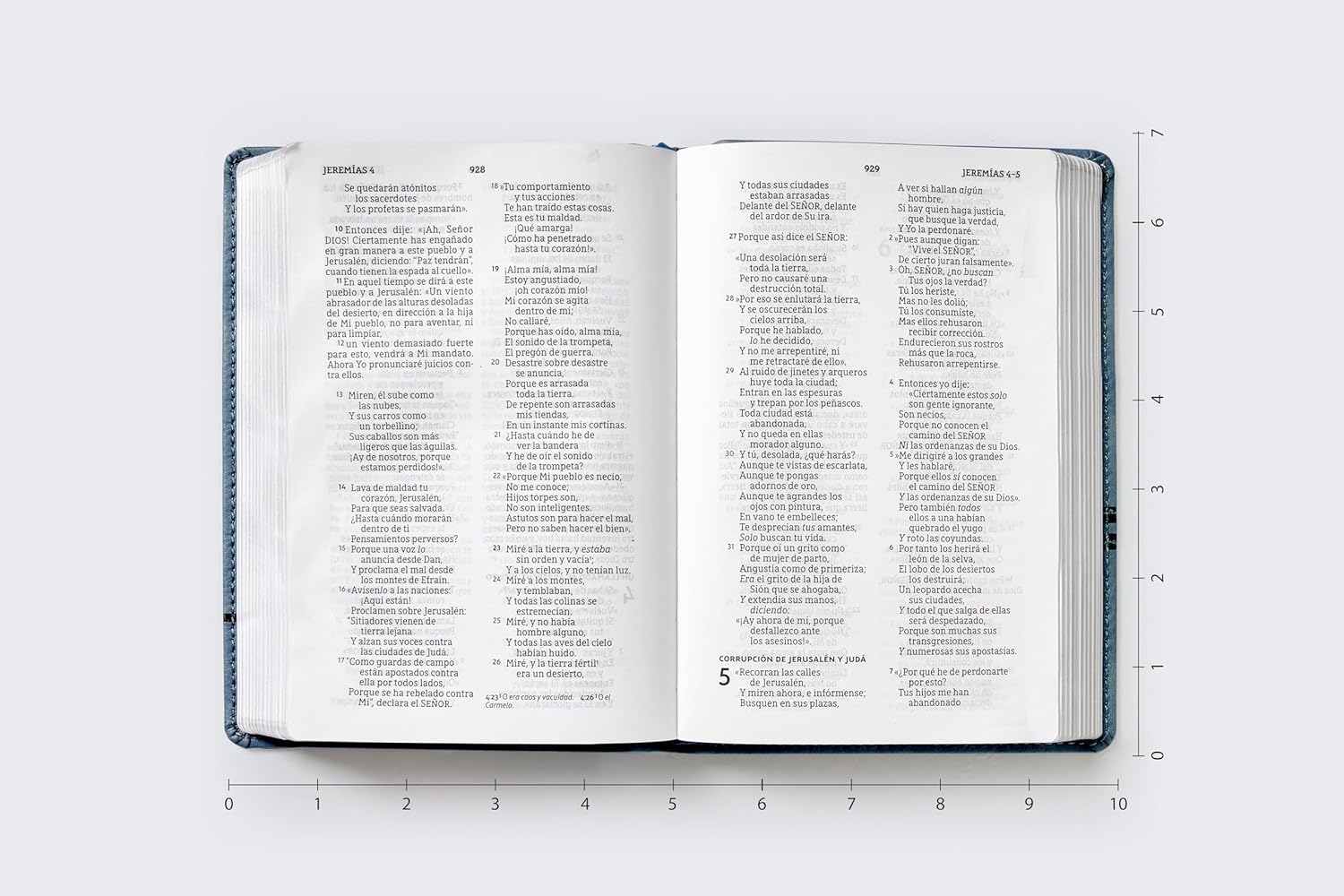 Biblia (NBLA) Edición versificada, Tamaño bolsillo, Leathersoft, Gris