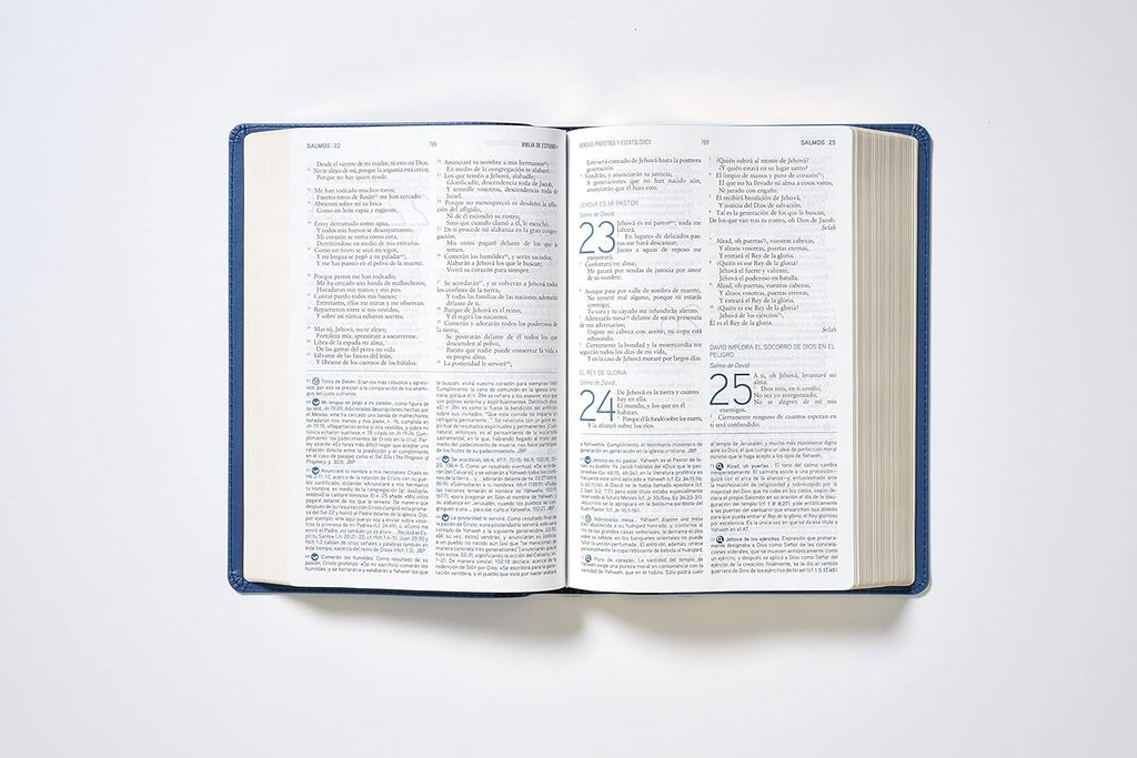 Biblia (RVR) de Estudio del Mensaje Profético y Escatológico, LeatherSoft™ Negro, con Índice