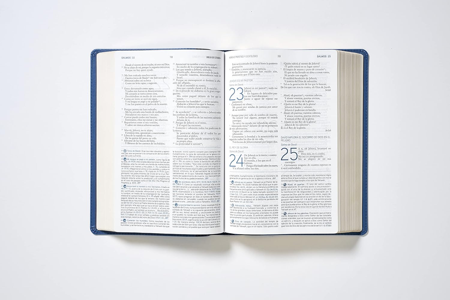 Biblia (RVR) de Estudio del Mensaje Profético y Escatológico, LeatherSoft™ Negro, con Índice