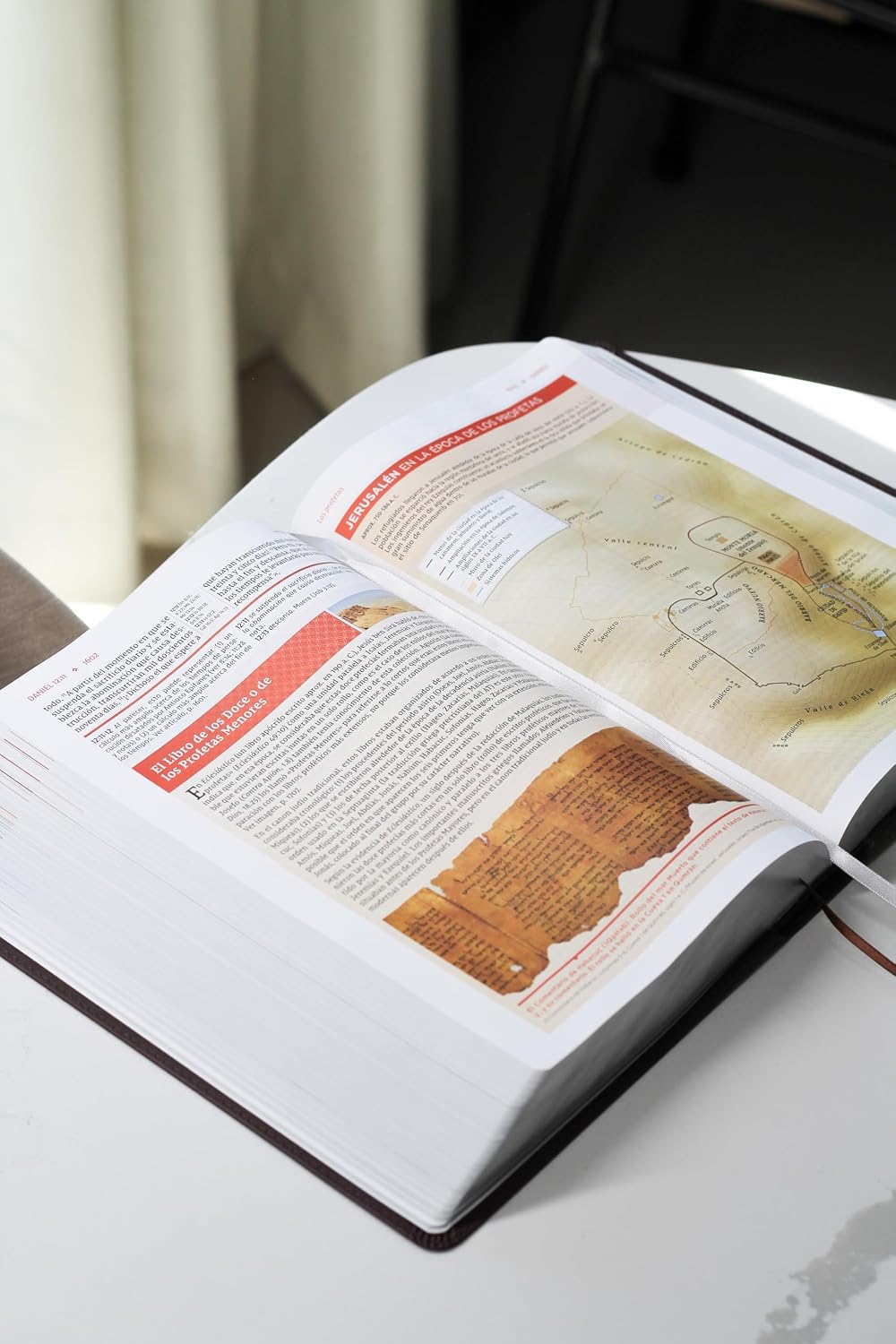 Biblia de Estudio (NVI) Actualizada, Leathersoft™ Café, Letra Grande