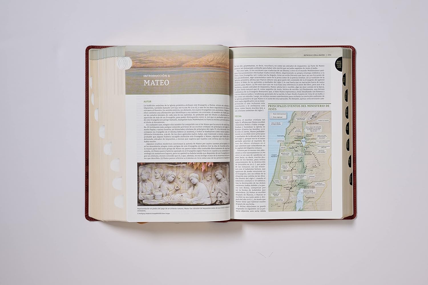 Biblia de Estudio de Teología Bíblica (NVI)