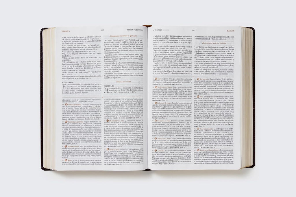 Biblia (RVR) de Estudio Patrística, LeatherSoft™ Marrón : La Sabiduría del Cristianismo Antiguo, siglos I al VI