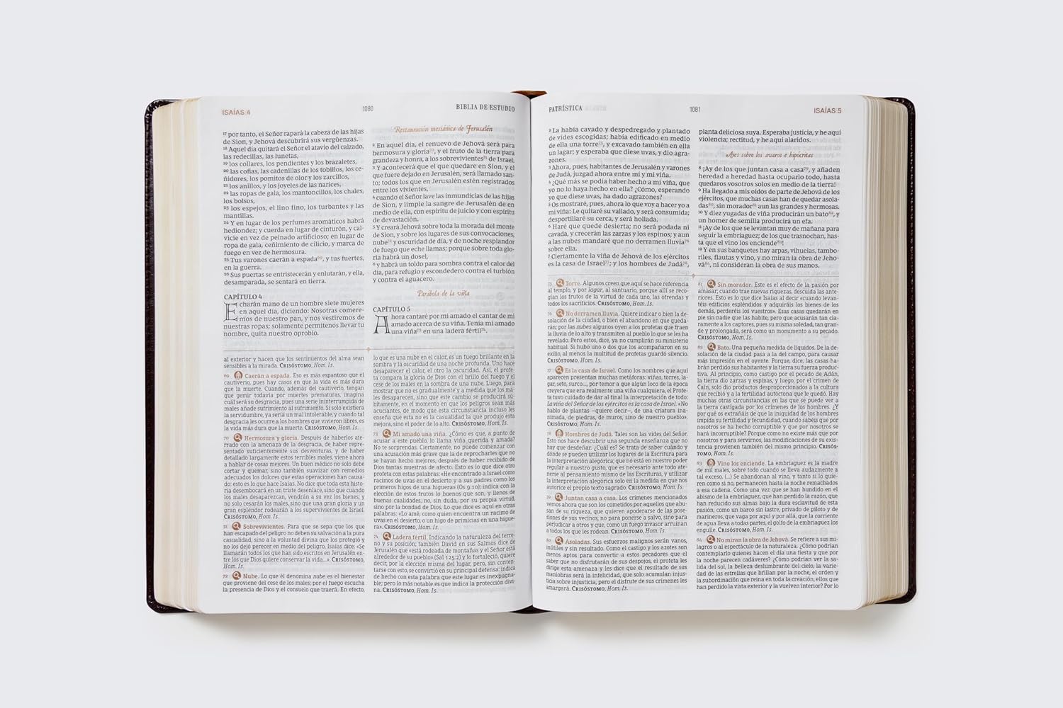 Biblia (RVR) de Estudio Patrística, LeatherSoft™ Marrón : La Sabiduría del Cristianismo Antiguo, siglos I al VI