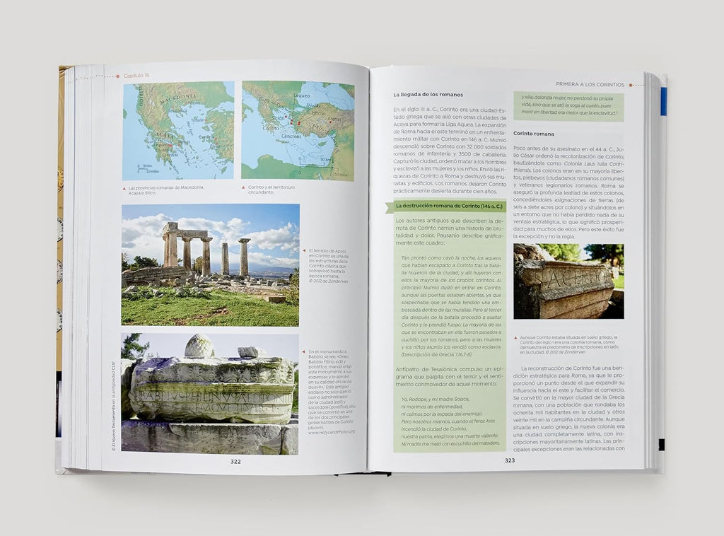 Nuevo Testamento en la Antigüedad: Un estudio del Nuevo Testamento en su contexto cultural