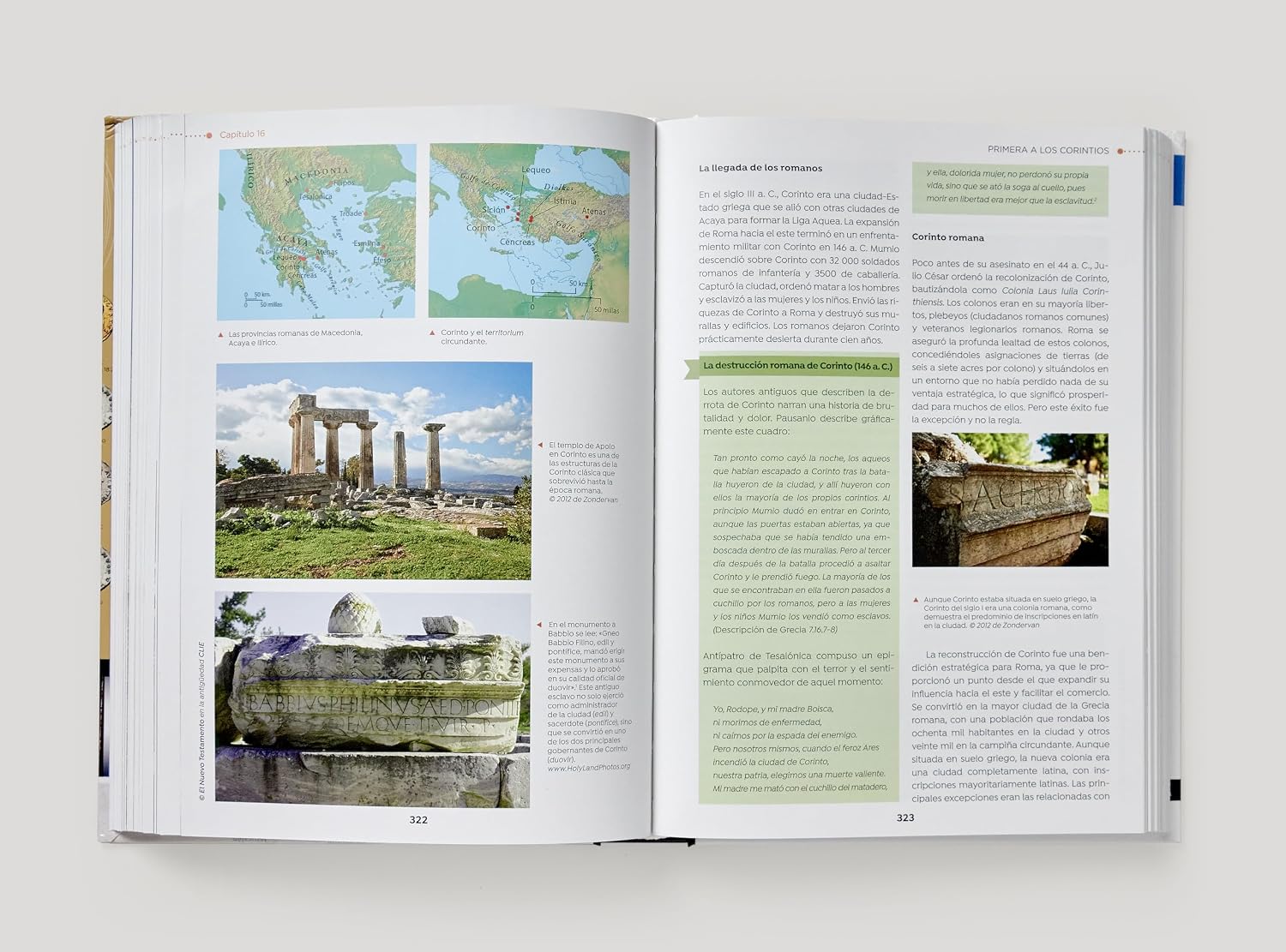 Nuevo Testamento en la Antigüedad: Un estudio del Nuevo Testamento en su contexto cultural