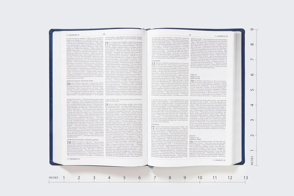 Biblia Bilingüe (NIV/NVI), Leathersoft™ Azul