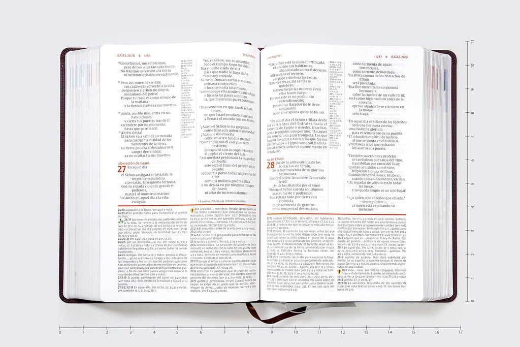 Biblia de Estudio (NVI) Actualizada, Leathersoft™ Café, Letra Grande