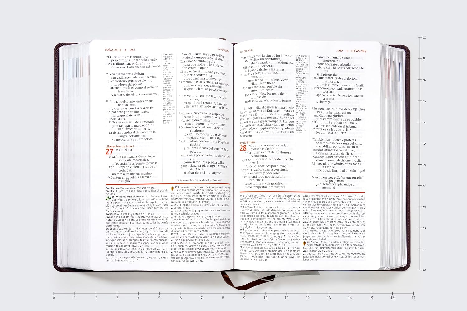 Biblia de Estudio (NVI) Actualizada, Leathersoft™ Café, Letra Grande
