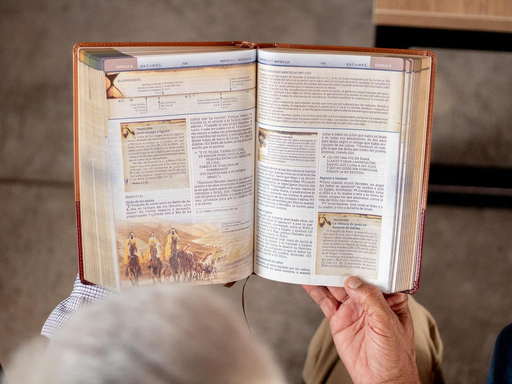 Biblia (NBLA) Cronológica de Estudio, Leathersoft dos tonos café