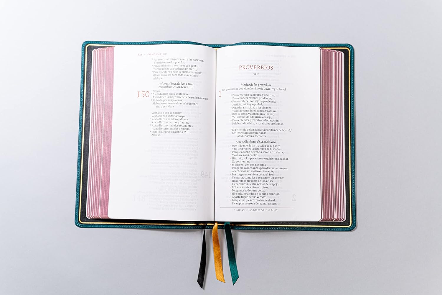 Biblia Deluxe (RV60), Verde Turquesa Piel Genuina