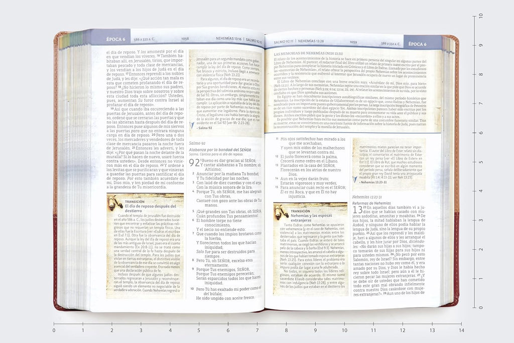 Biblia (NBLA) Cronológica de Estudio, Leathersoft dos tonos café