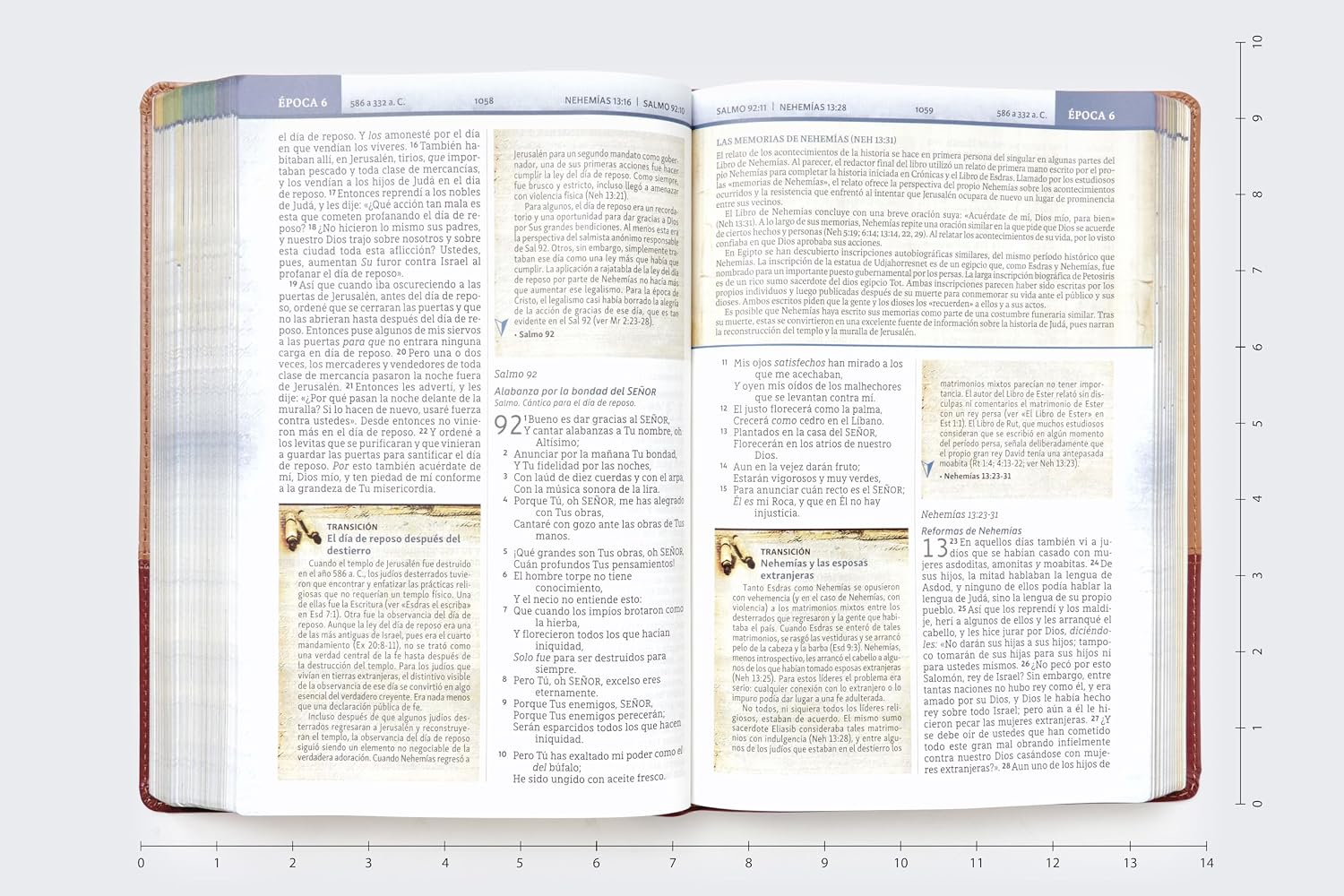 Biblia (NBLA) Cronológica de Estudio, Leathersoft dos tonos café