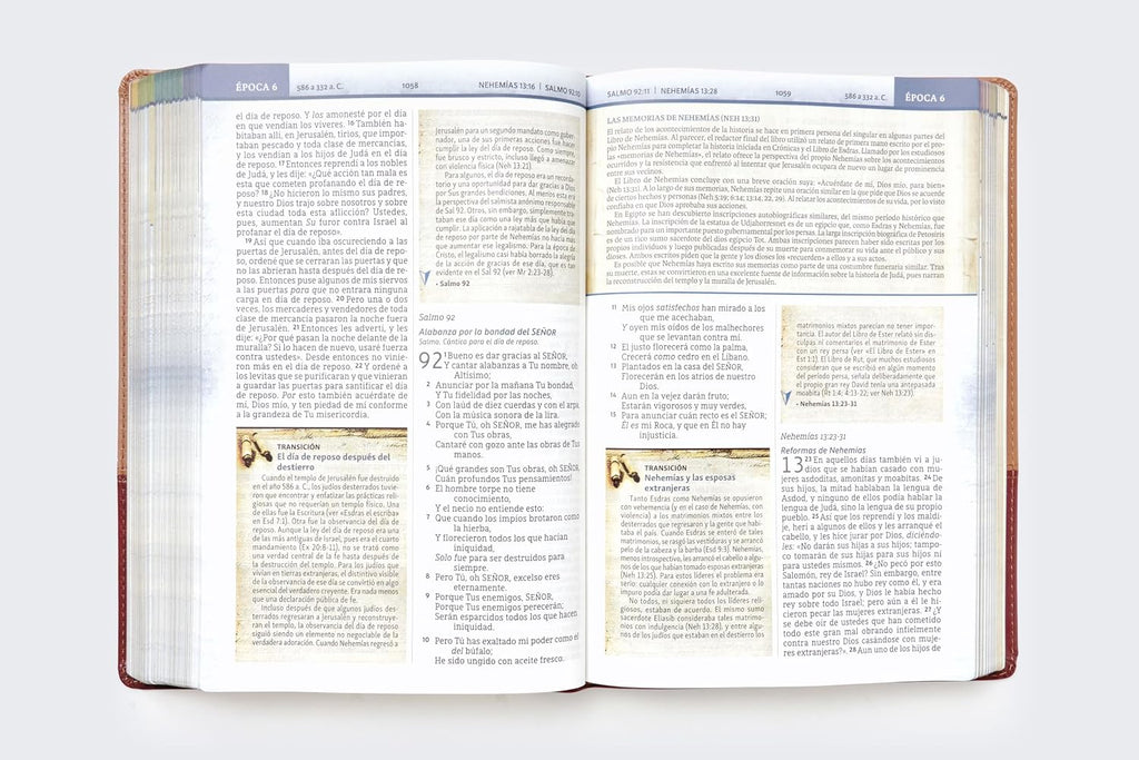 Biblia (NBLA) Cronológica de Estudio, Leathersoft dos tonos café