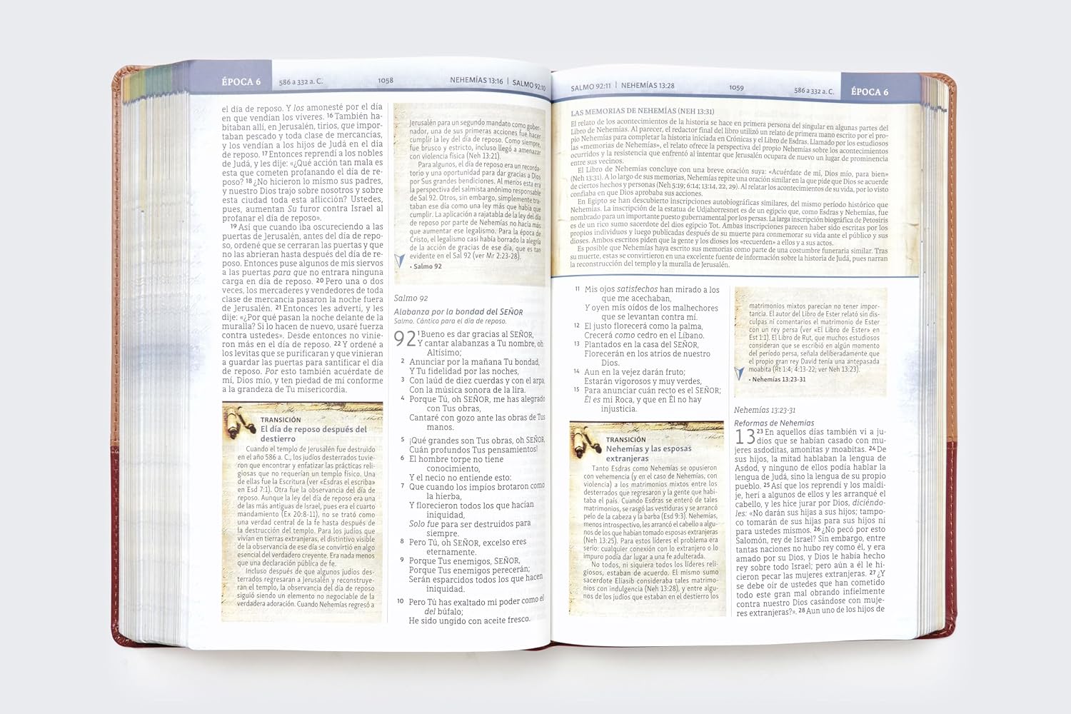 Biblia (NBLA) Cronológica de Estudio, Leathersoft dos tonos café