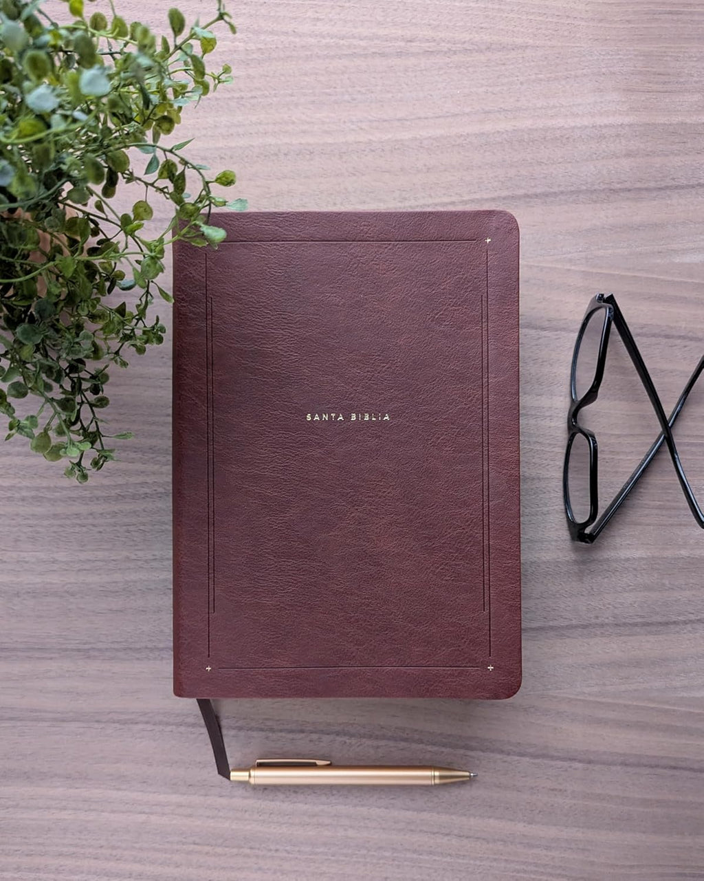 Biblia de Estudio del Diario Vivir (NTV), Sentipiel Café