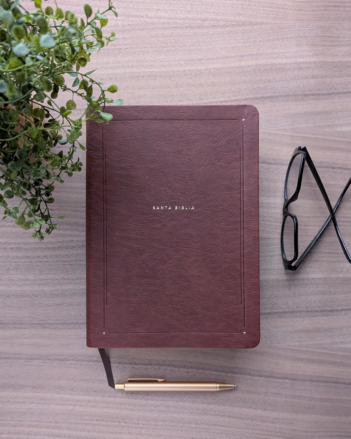 Biblia de Estudio del Diario Vivir (NTV), Sentipiel Café