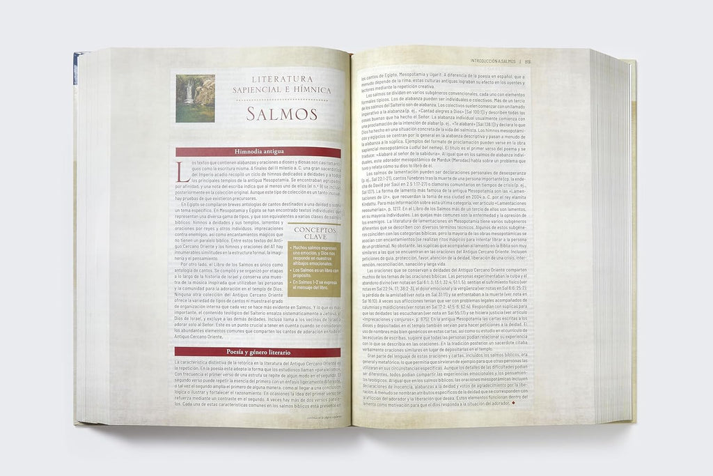 Biblia (RVR) de estudio trasfondo cultural, Tapa Dura: Explora el mundo antiguo de la Escritura