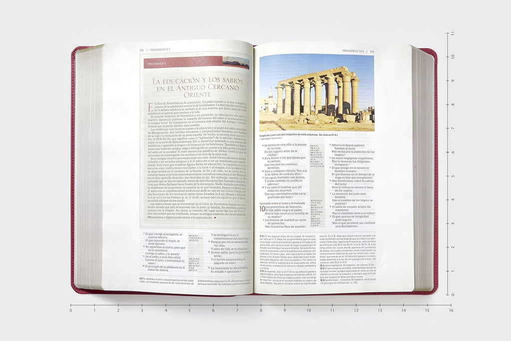 Biblia (RVR) de estudio trasfondo cultural, LeatherSoft™ Rojo Vino: Explora el mundo antiguo de la Escritura