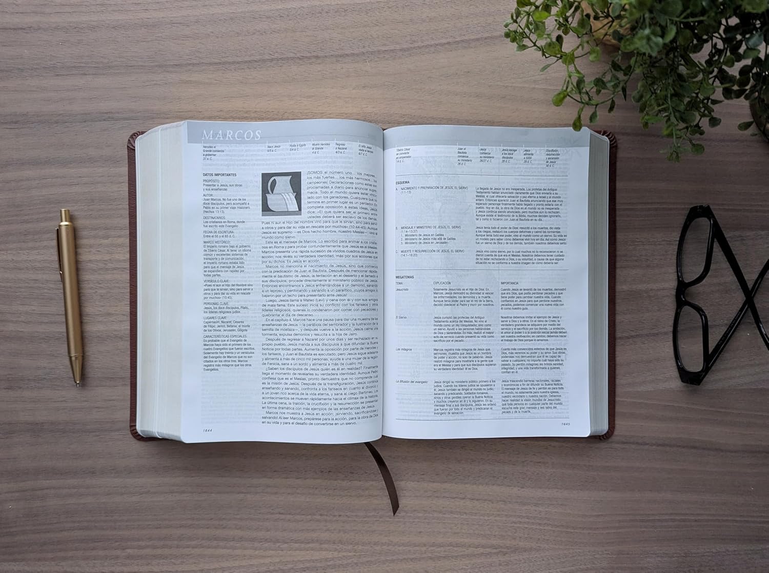 Biblia de Estudio del Diario Vivir (NTV), Sentipiel Café