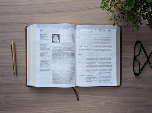 Biblia de Estudio del Diario Vivir (NTV), Sentipiel Café