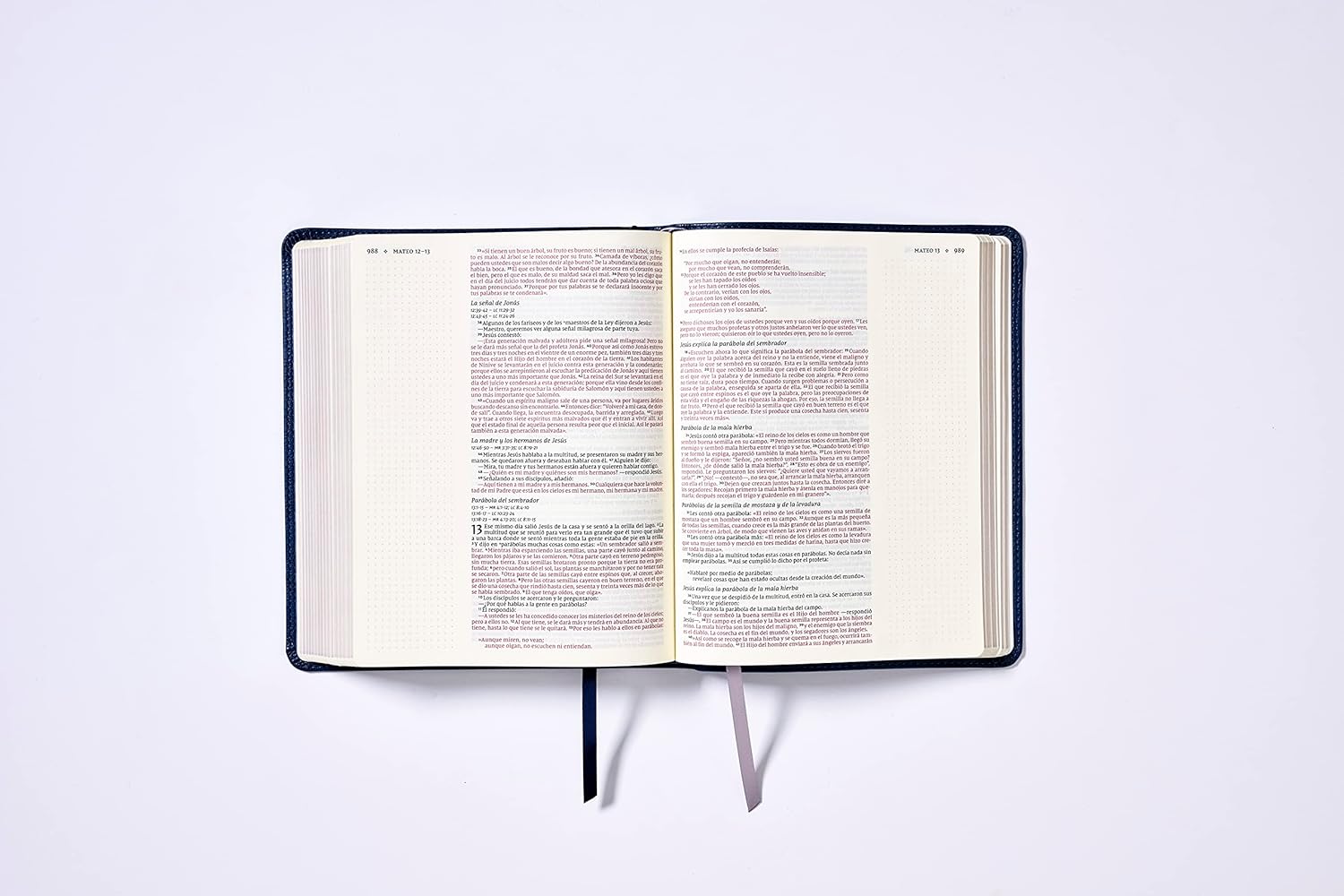 Santa Biblia (NVI) Edición para Notas