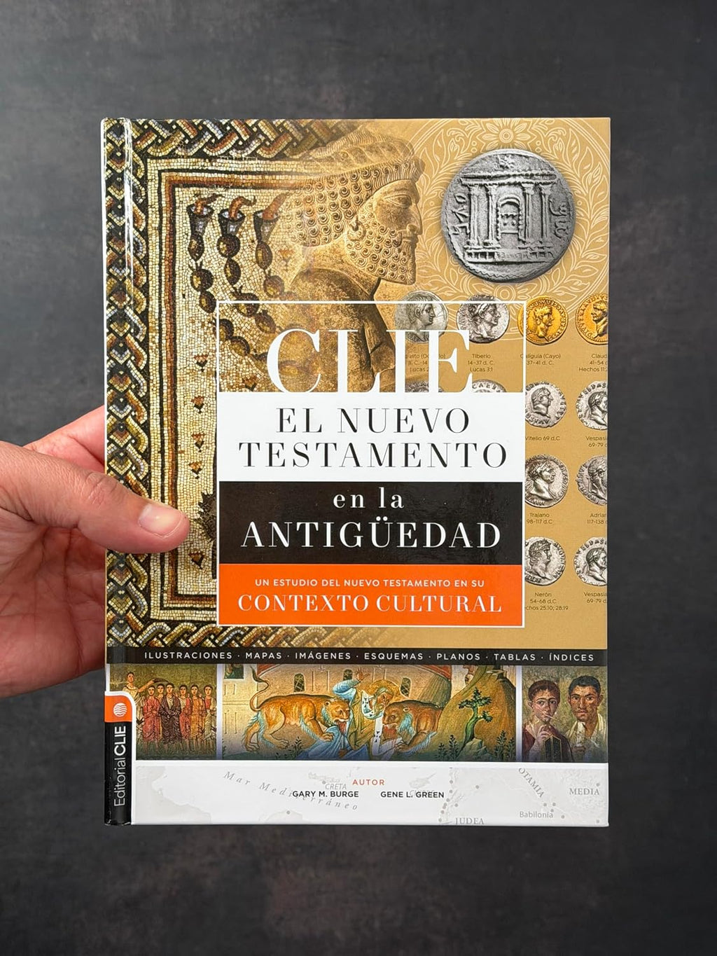 Nuevo Testamento en la Antigüedad: Un estudio del Nuevo Testamento en su contexto cultural
