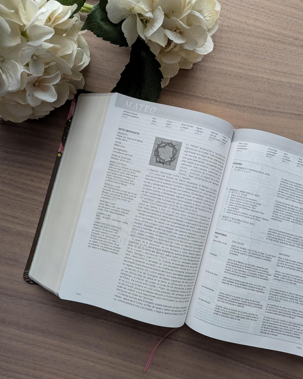 Biblia de Estudio del Diario Vivir (NTV), Sentipiel Café/Rosa