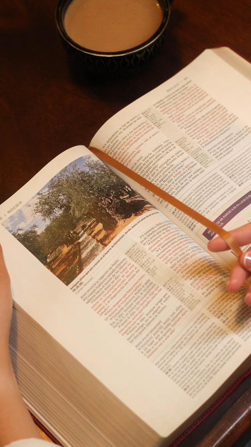 Biblia (RVR) de estudio trasfondo cultural, LeatherSoft™ Rojo Vino: Explora el mundo antiguo de la Escritura